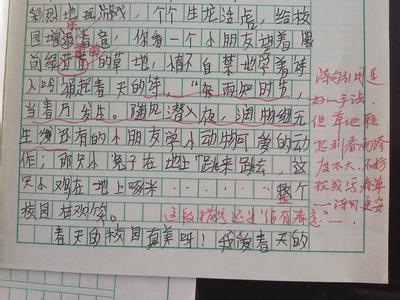 作文500字初中 初中的新老师作文500字，新老师初中作文