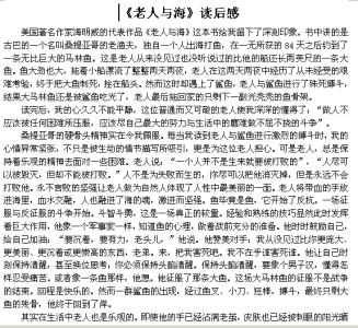 老人与海读后感800字 《老人与海》读后感1200字