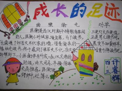 蚕的成长过程手抄报 成长过程手抄报