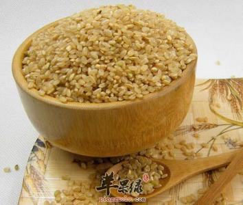 糙米的功效与作用禁忌 糙米的功效与作用及食用方法