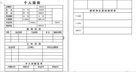 销售经理人个人简介 职业经理人简历范文