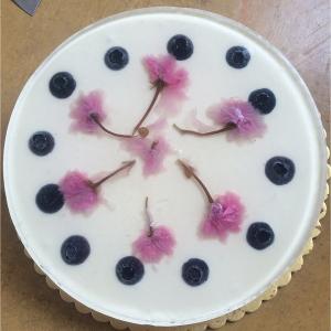 芝士蛋糕的家常做法 怎么做蓝莓芝士蛋糕，蓝莓芝士蛋糕的家常做法