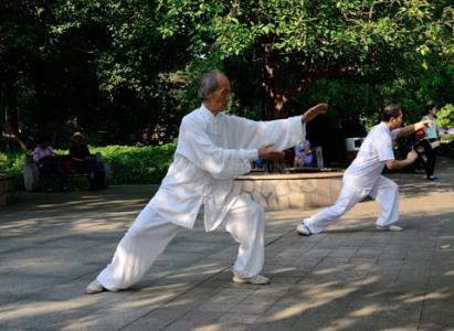 太极拳24式图解 拳里的太极和太极拳原解