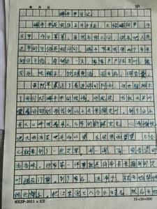 过端午节作文600字 过端午节作文