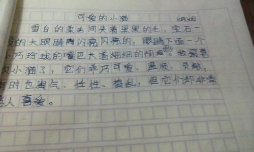 老鼠开会作文400字 捉老鼠的400字作文