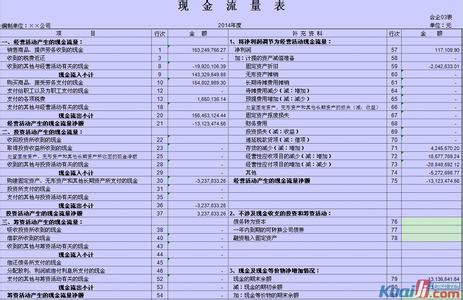 现金流量表附表 现金流量表附表会计电算化的新思路