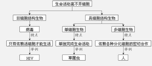 高中生物必修一细胞膜 高一生物必修一《细胞膜》教学设计