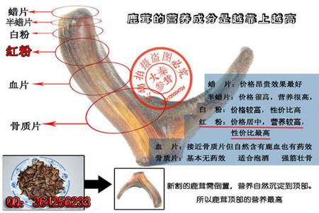 鹿茸的功效与作用 鹿茸血的功效与作用及食用方法