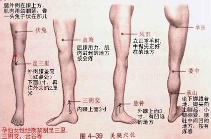 养生穴位按摩 按摩养生常用穴位图