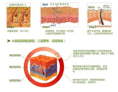 基础精油 什么是基础精油 基础精油的介绍