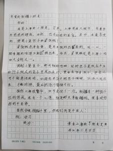 手拉手作文250字 手拉手的作文450字