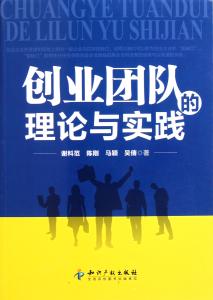 网络创业理论与实践 创业团队的理论与实践