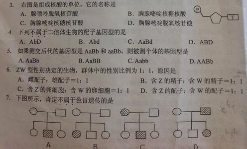 初一英语期末测试题 北师大版初一生物下册期末测试题