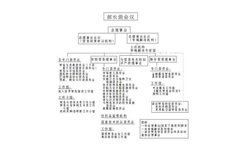 政治生活知识点梳理 高二政治《走进世界贸易组织》知识点梳理