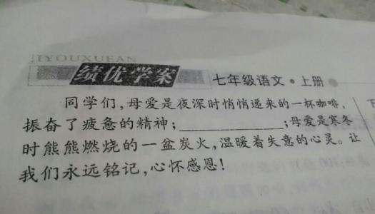 关于母爱的优美句子 形容母爱感人的优美句子 关于母爱的经典唯美句子