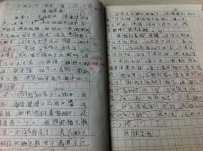 瞧这一家子作文 瞧这一家子作文精选4篇