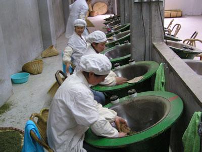 中国佛学院普陀山学院 普陀佛茶的采制加工技术方法