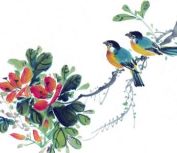 中国画花鸟画图片欣赏 关于中国画花鸟山水图片
