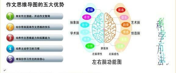 快速阅读的方法 语文快速阅读方法