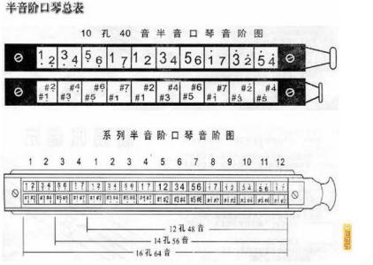 12孔半音阶口琴 10孔半音阶口琴