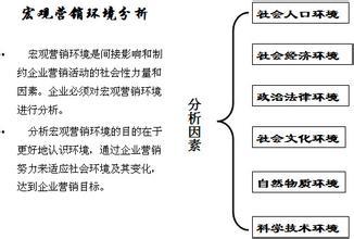 市场营销案例分析报告 市场营销案例环境分析报告