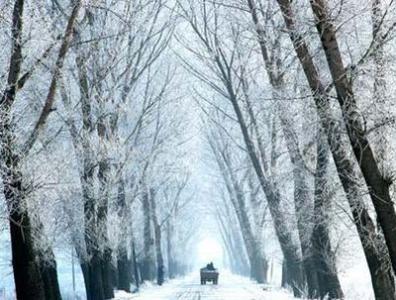 适合下雪天听的歌 下雪时候听的歌 适合在冬天听的歌