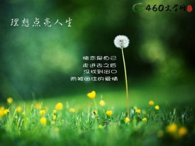 有关理想人生的演讲稿 理想点亮人生演讲稿