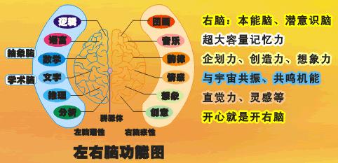 右脑图像记忆法 右脑图像记忆法的方法步骤