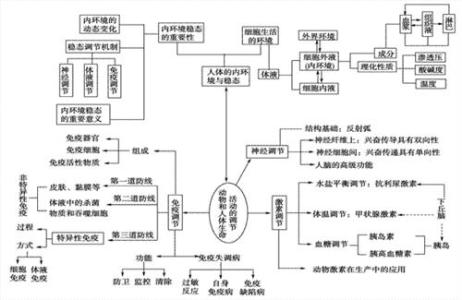 高二必修三生物复习资料