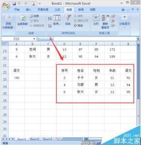 excel2007高级筛选 excel2007设置高级筛选的教程