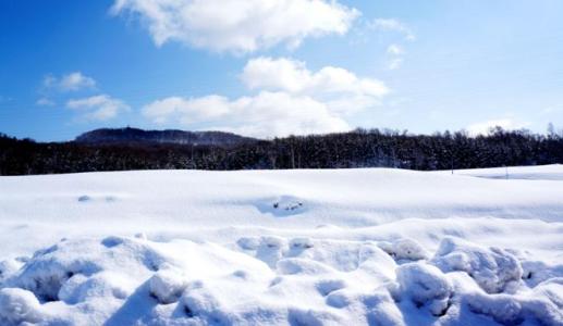 描写冬天的散文 冬天关于描写雪的散文