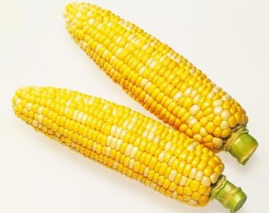 花生的功效与作用 玉米的功效和作用