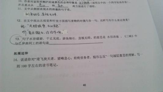 与朱元思书检测题 初三上册语文《与朱元思书》检测试题及答案