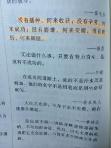 名言名句优美句子摘抄 关于成功的名言句子摘抄