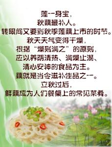 藕粉的作用与功效 莲藕的作用与功效