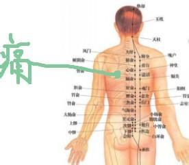 背部突然疼痛的原因 背部突然疼痛的原因有什么