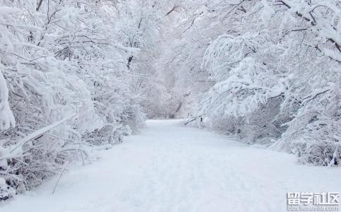 今年冬天下雪吗 乐文 有关下雪的好文段