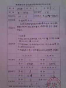 中学生实践报告范文 最新中学生社会实践报告范文