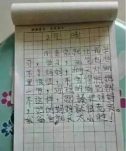 我心中的榜样作文 我心中的榜样日记作文600字