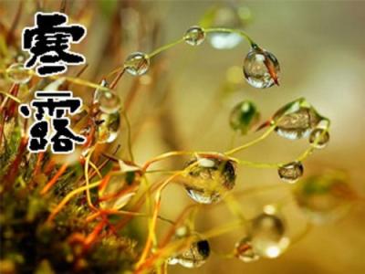 寒露节气 寒露节气吃什么 寒露时节吃什么