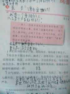 七年级语文作业本答案 语文七年级上《散步》作业本答案