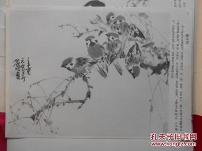 写意花鸟画的基本技法 写意花鸟画基本技法