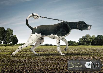 宠物用品广告词 有关宠物用品的创意广告词