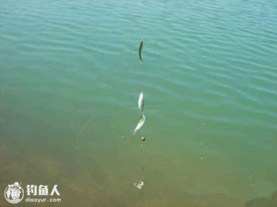 江河钓鱼技巧：防止小鱼闹钩的九个攻略