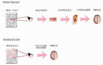 四级快速阅读是什么 快速阅读的法则是什么