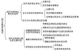 中国近现代思潮 试析进化论视野下的中国近现代民族主义思潮的特征