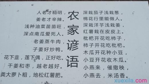 中国古代谚语集锦 中国古老经典的谚语 中国古老经典的谚语集锦