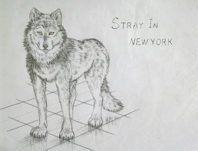数位板绘画教程 学画狼绘画教程，狼怎样画