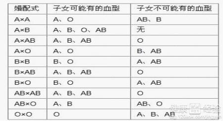 o型血与b型血生的孩子 b型血跟o型血会生什么血型的孩子