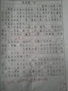 小兔子作文500字 我的小兔子作文500字5篇